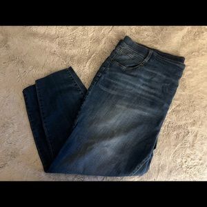 Terra & Sky size 24/26 3X pull on jeans NWT